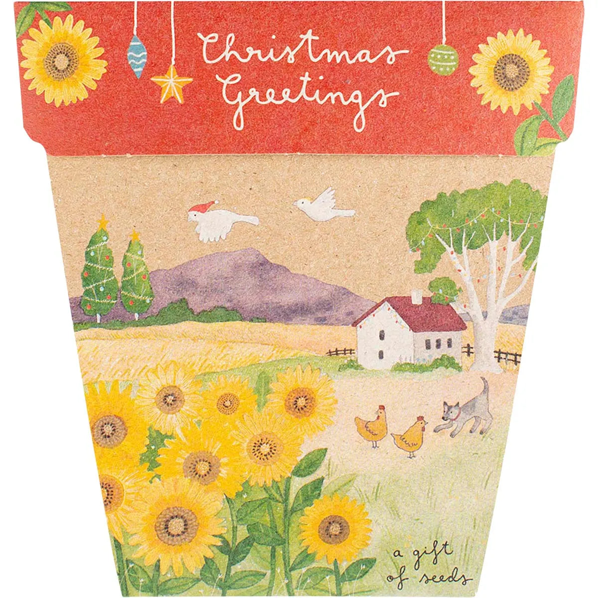 Sow 'n Sow Gift of Seeds Christmas Sunflowers