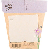 Sow 'n Sow Gift of Seeds Daisies Native