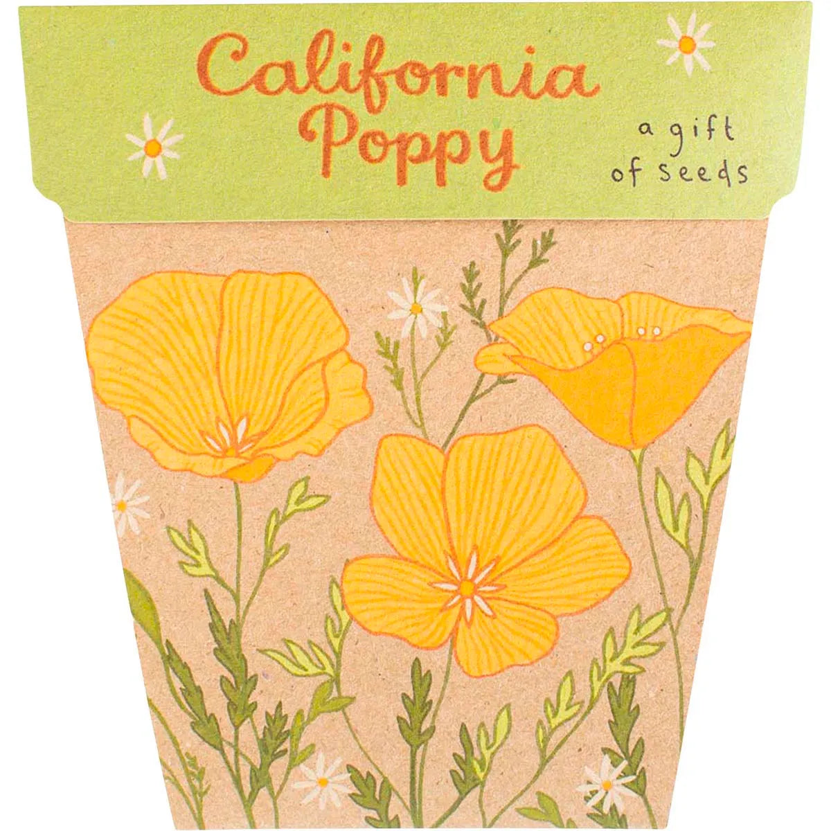 Sow 'n Sow Gift of Seeds California Poppy